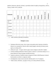 Paukščių salmoneliozė 6 puslapis