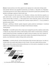 Rastriniai vaizdai 2 puslapis