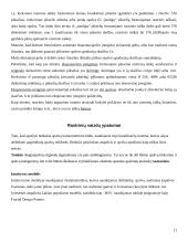 Rastriniai vaizdai 11 puslapis