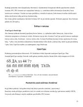 Rastriniai vaizdai 15 puslapis