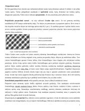 Rastriniai vaizdai 7 puslapis