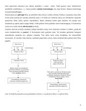 Rastriniai vaizdai 8 puslapis