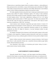 Skaitmeniniai fotoaparatai ir vaizdo kameros 11 puslapis