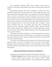 Skaitmeniniai fotoaparatai ir vaizdo kameros 6 puslapis