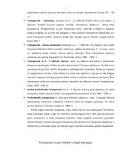 Skaitmeniniai fotoaparatai ir vaizdo kameros 7 puslapis