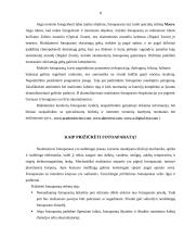 Skaitmeniniai fotoaparatai ir vaizdo kameros 8 puslapis