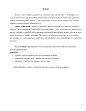 Šeimos šventės 2 puslapis