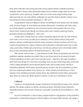 Šeimos šventės 8 puslapis