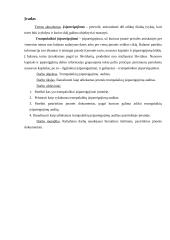 Trumpalaikių įsipareigojimų auditas