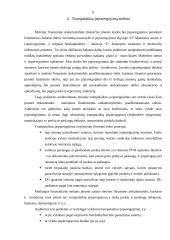 Trumpalaikių įsipareigojimų auditas 6 puslapis