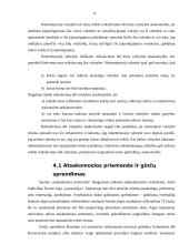 Valstybės atsakomybė už tarptautinės teisės pažeidimus 11 puslapis