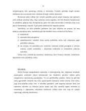 Valstybės atsakomybė už tarptautinės teisės pažeidimus 13 puslapis