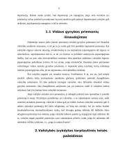 Valstybės atsakomybė už tarptautinės teisės pažeidimus 6 puslapis