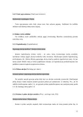 Vertybinių popierių vertinimo metodai 12 puslapis