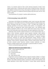 Vertybinių popierių vertinimo metodai 15 puslapis