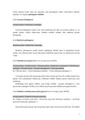 Vertybinių popierių vertinimo metodai 7 puslapis