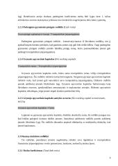 Vertybinių popierių vertinimo metodai 9 puslapis