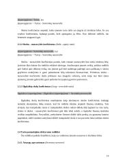 Vertybinių popierių vertinimo metodai 10 puslapis