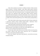 Vidaus audito esmė ir procesas 2 puslapis