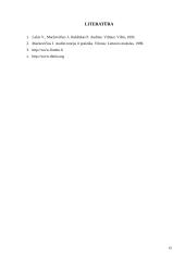 Vidaus audito esmė ir procesas 14 puslapis