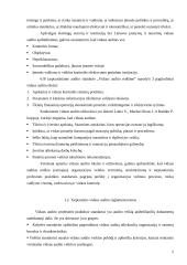 Vidaus audito esmė ir procesas 4 puslapis