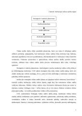 Vidaus audito esmė ir procesas 6 puslapis
