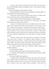 Vidaus audito esmė ir procesas 10 puslapis