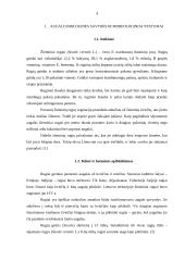 Žieminiai rugiai 2 puslapis