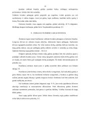 Žieminiai rugiai 12 puslapis