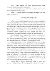 Žieminiai rugiai 4 puslapis