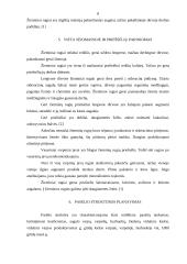 Žieminiai rugiai 6 puslapis