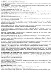 Rinkodaros valdymo teorija 11 puslapis