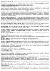 Rinkodaros valdymo teorija 18 puslapis