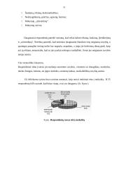 Mokinių konfliktai tarp bendraklasių mokykloje 10 puslapis