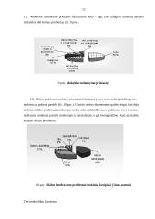 Mokinių konfliktai tarp bendraklasių mokykloje 11 puslapis
