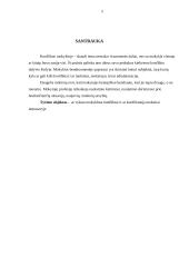 Mokinių konfliktai tarp bendraklasių mokykloje 2 puslapis