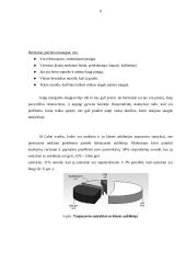 Mokinių konfliktai tarp bendraklasių mokykloje 8 puslapis