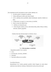 Mokinių konfliktai tarp bendraklasių mokykloje 9 puslapis