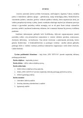 Tarpininkų teikiamų paslaugų pardavimų analizė: PZU "Lietuva" 3 puslapis