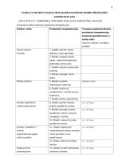 Tarpininkų teikiamų paslaugų pardavimų analizė: PZU "Lietuva" 4 puslapis