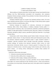 Tarpininkų teikiamų paslaugų pardavimų analizė: PZU "Lietuva" 6 puslapis