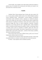 Kauno Centrinio pašto architektūrinė analizė 6 puslapis