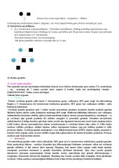 Išsami genetikos teorija 12 puslapis
