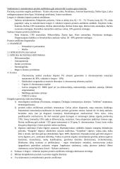 Išsami genetikos teorija 7 puslapis