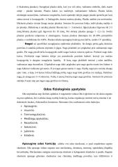 Odos ir venerinės  ligos 3 puslapis