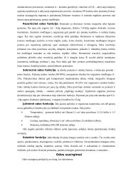 Odos ir venerinės  ligos 5 puslapis