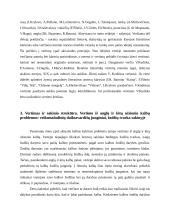 Vertimas: raida, kelias, struktūra 11 puslapis