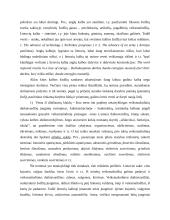 Vertimas: raida, kelias, struktūra 12 puslapis