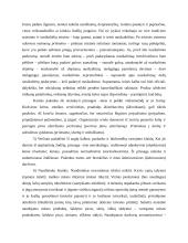 Vertimas: raida, kelias, struktūra 14 puslapis