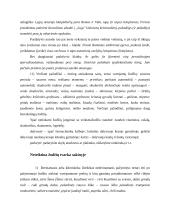 Vertimas: raida, kelias, struktūra 16 puslapis